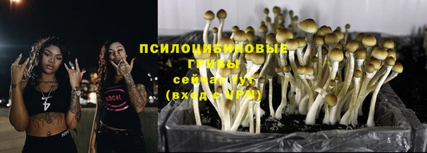 мяу мяу мука Волоколамск