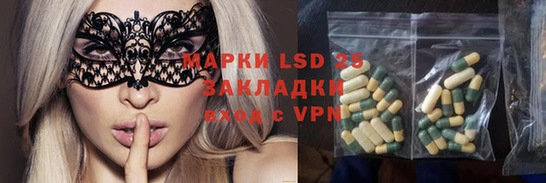 соль ск Вяземский