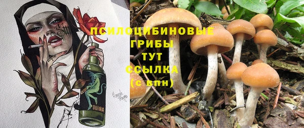 стаф Вязники