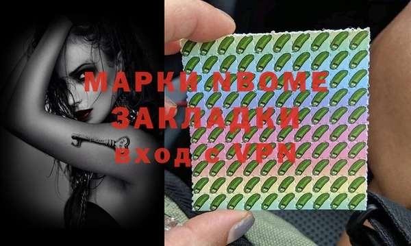 соль ск Вяземский