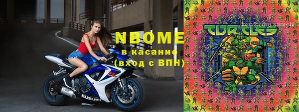 соль ск Вяземский