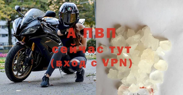 стаф Вязники