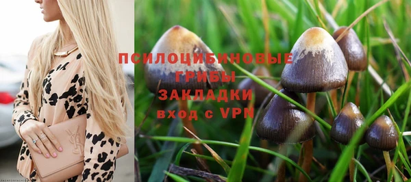 2c-b Верея