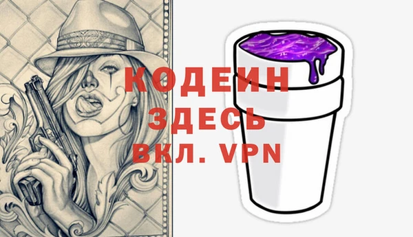 соль ск Вяземский